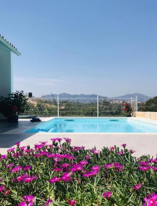 Vista Mare Con Piscina A - Baia Sant'anna Casa vacanze
